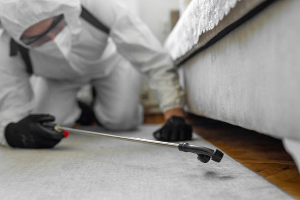 Professional Cockroach Control technician working in Polkton, NC